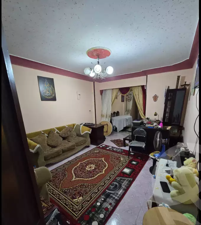 https://aqarmap.com.eg/en/listing/6068165-for-sale-alexandria-l-jmy-bw-ywsf