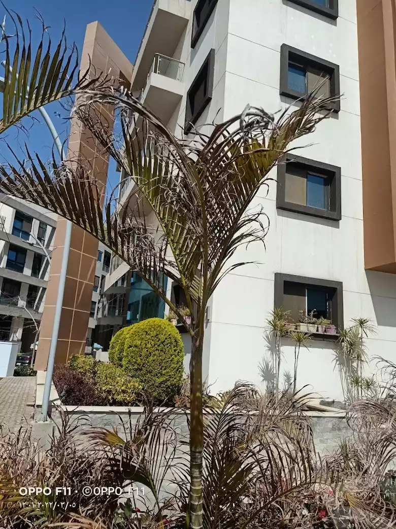 https://aqarmap.com.eg/en/listing/6068496-for-rent-cairo-new-cairo-compounds-mwrd-fq-llttwyr