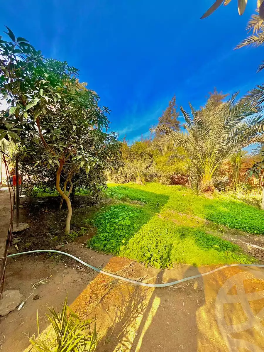 https://aqarmap.com.eg/en/listing/6069375-for-sale-sharqia-bilbeis-belbes-city
