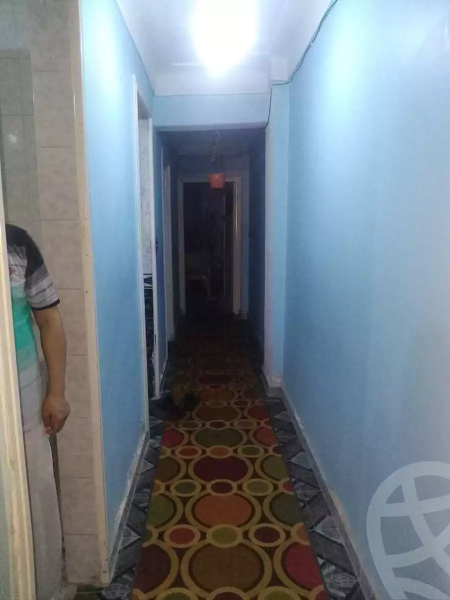 https://aqarmap.com.eg/en/listing/6071489-for-sale-alexandria-l-jmy-lbytsh-princess-st