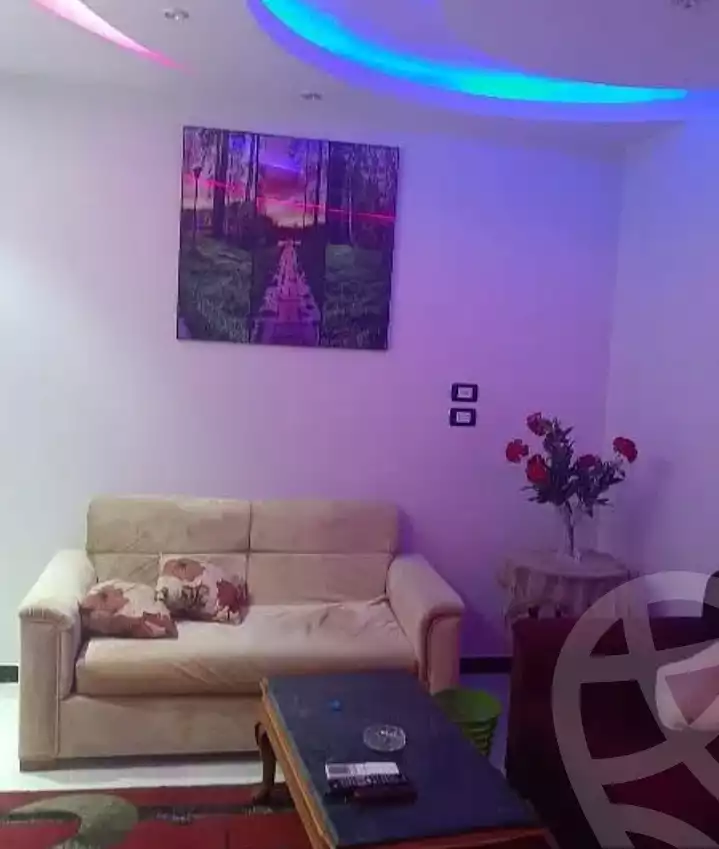 https://aqarmap.com.eg/en/listing/6072362-for-rent-aswan-aswan-city