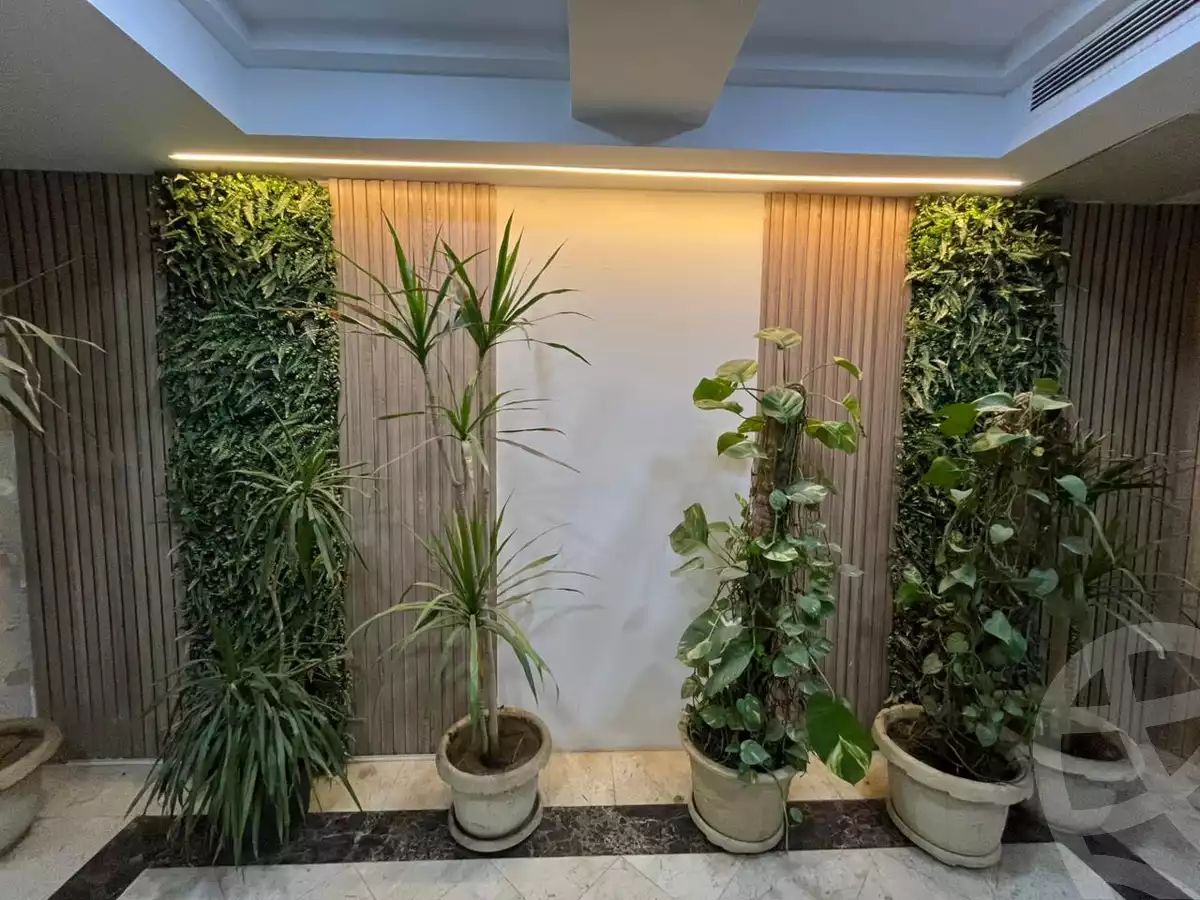 https://aqarmap.com.eg/ar/listing/6072705-for-rent-cairo-new-cairo-90th-street-south-teseen-st