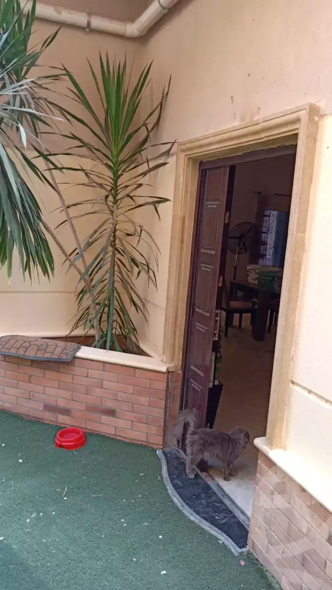 https://aqarmap.com.eg/en/listing/6073753-for-sale-cairo-new-cairo-ganob-el-akadamiya-south-academy-z
