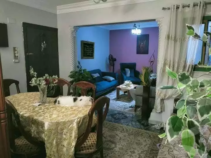 https://aqarmap.com.eg/ar/listing/6076403-for-sale-cairo-ain-shams-ain-shams-el-sharkia