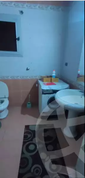 https://aqarmap.com.eg/en/listing/6076787-for-rent-ismailia-ismailia-city-shebeen-st