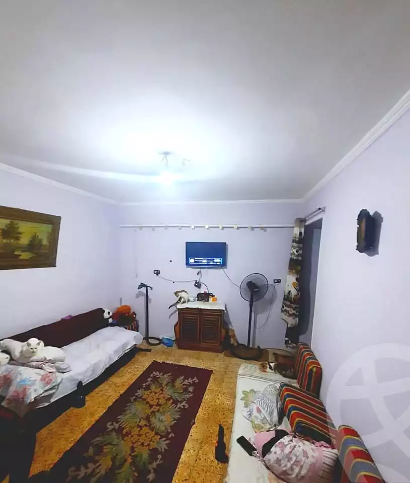https://aqarmap.com.eg/ar/listing/6078158-for-sale-alexandria-l-jmy-lbytsh-al-kaada-st