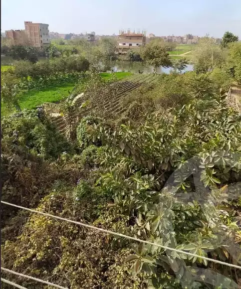 https://aqarmap.com.eg/en/listing/6081248-for-sale-monufia-shibin-el-kom