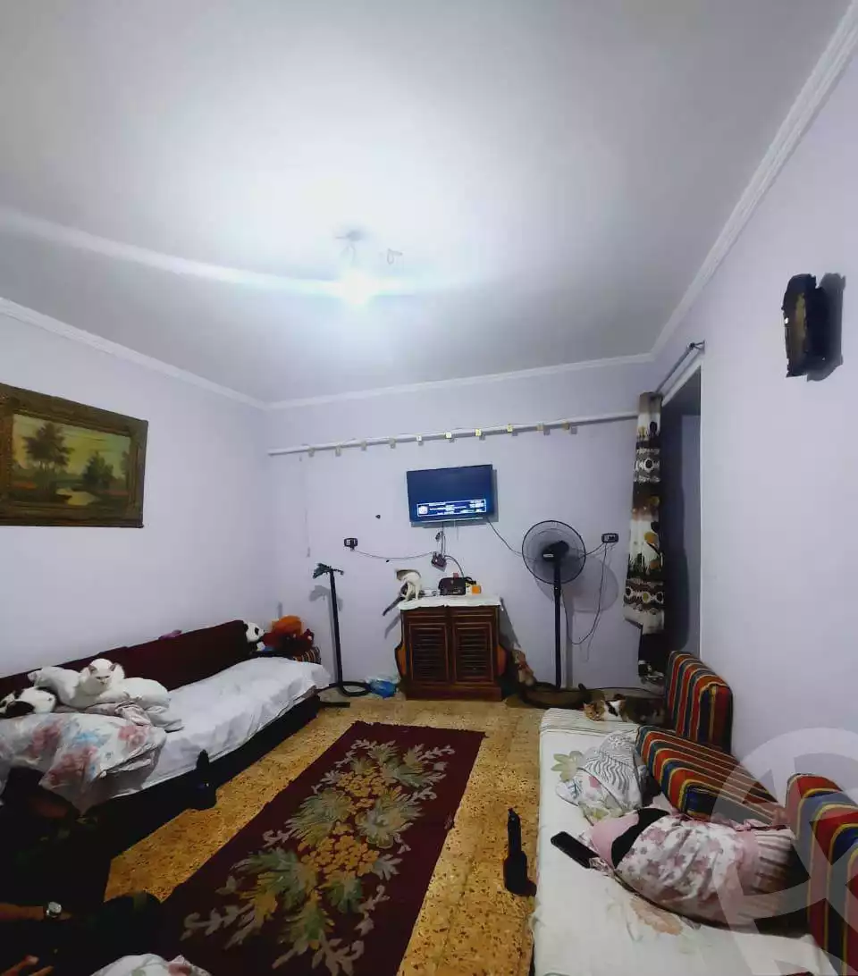 https://aqarmap.com.eg/ar/listing/6083335-for-sale-alexandria-l-jmy-lbytsh-al-kaada-st