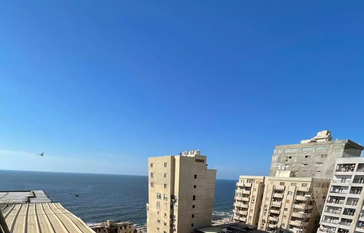 https://aqarmap.com.eg/en/listing/6083370-for-sale-alexandria-ibrahimia-port-said-street