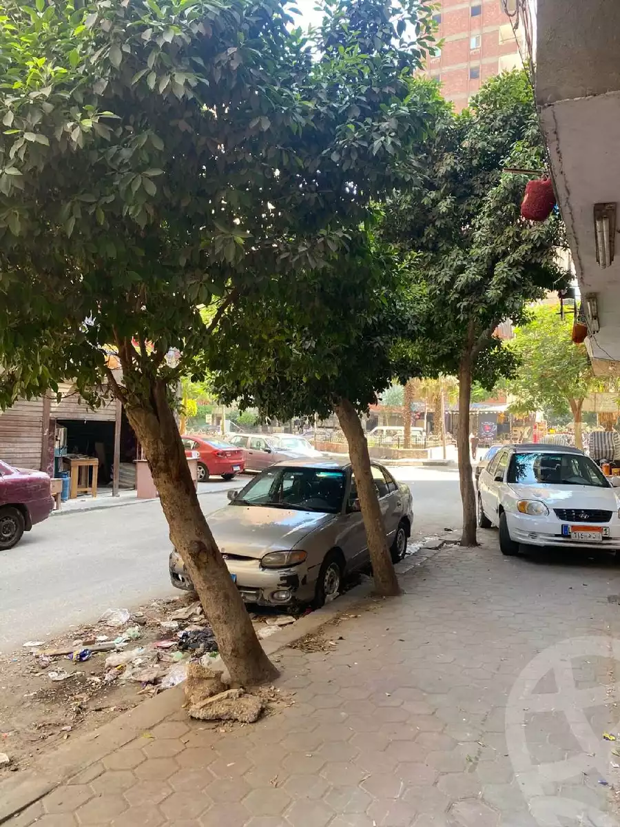 https://aqarmap.com.eg/en/listing/6085272-for-sale-cairo-ain-shams-el-naam-wafik-abbas-st