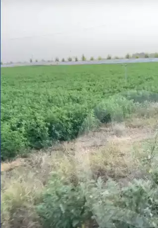 https://aqarmap.com.eg/en/listing/6087789-for-sale-beheira-wadi-el-natrun