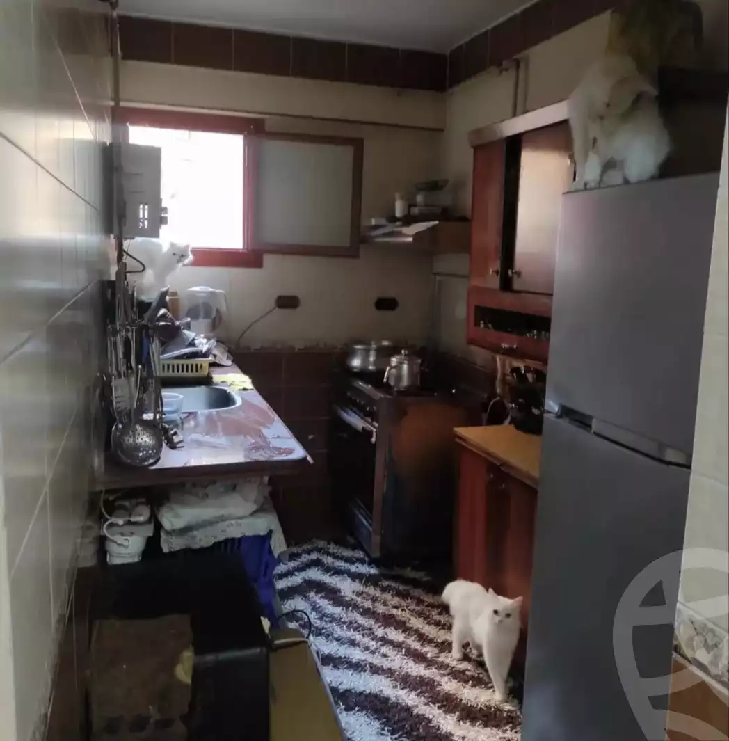 https://aqarmap.com.eg/ar/listing/6089135-for-sale-alexandria-l-jmy-lbytsh-saad-zaghloul-st