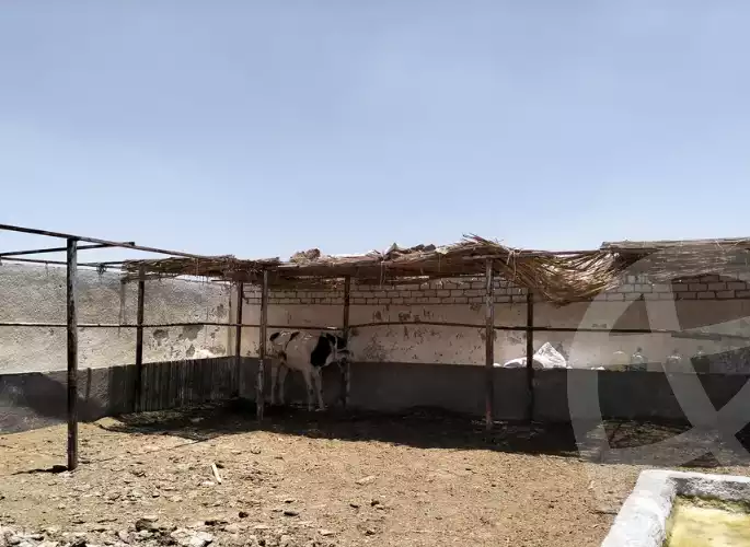 https://aqarmap.com.eg/en/listing/6091092-for-sale-ismailia-ismailia-city-ismailia-city