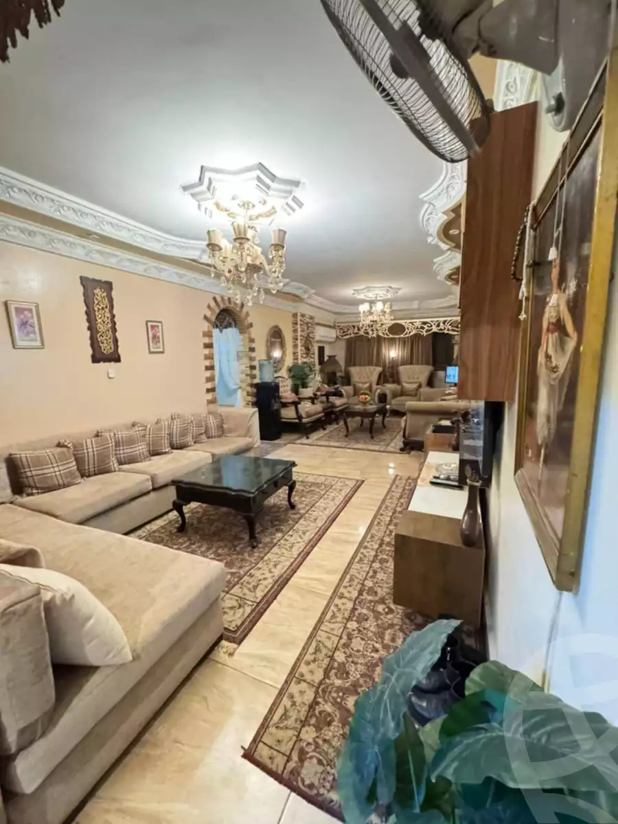 https://aqarmap.com.eg/en/listing/6093298-for-sale-cairo-ain-shams-mnshy-lthryr