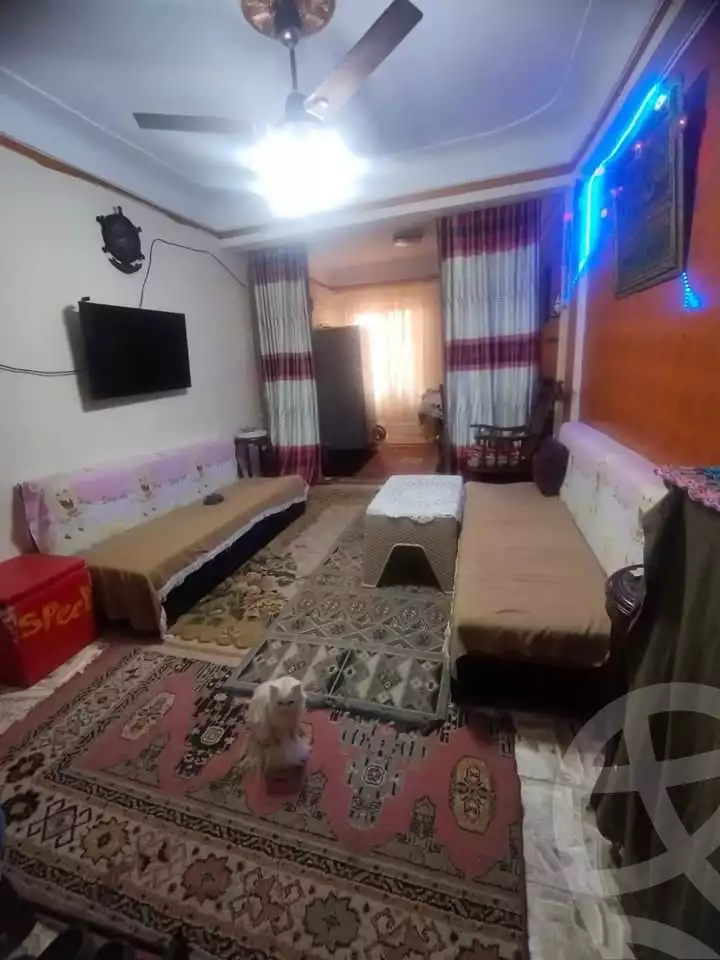 https://aqarmap.com.eg/en/listing/6096869-for-sale-alexandria-l-jmy-lbytsh-el-hay-st