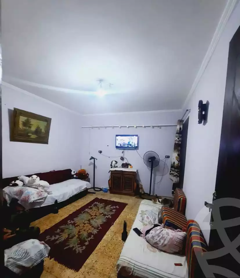 https://aqarmap.com.eg/en/listing/6100151-for-sale-alexandria-l-jmy-lbytsh-al-kaada-st