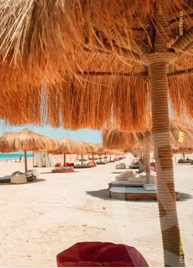 https://aqarmap.com.eg/en/listing/6104788-for-sale-north-coast-resorts-lyv-resort-gates