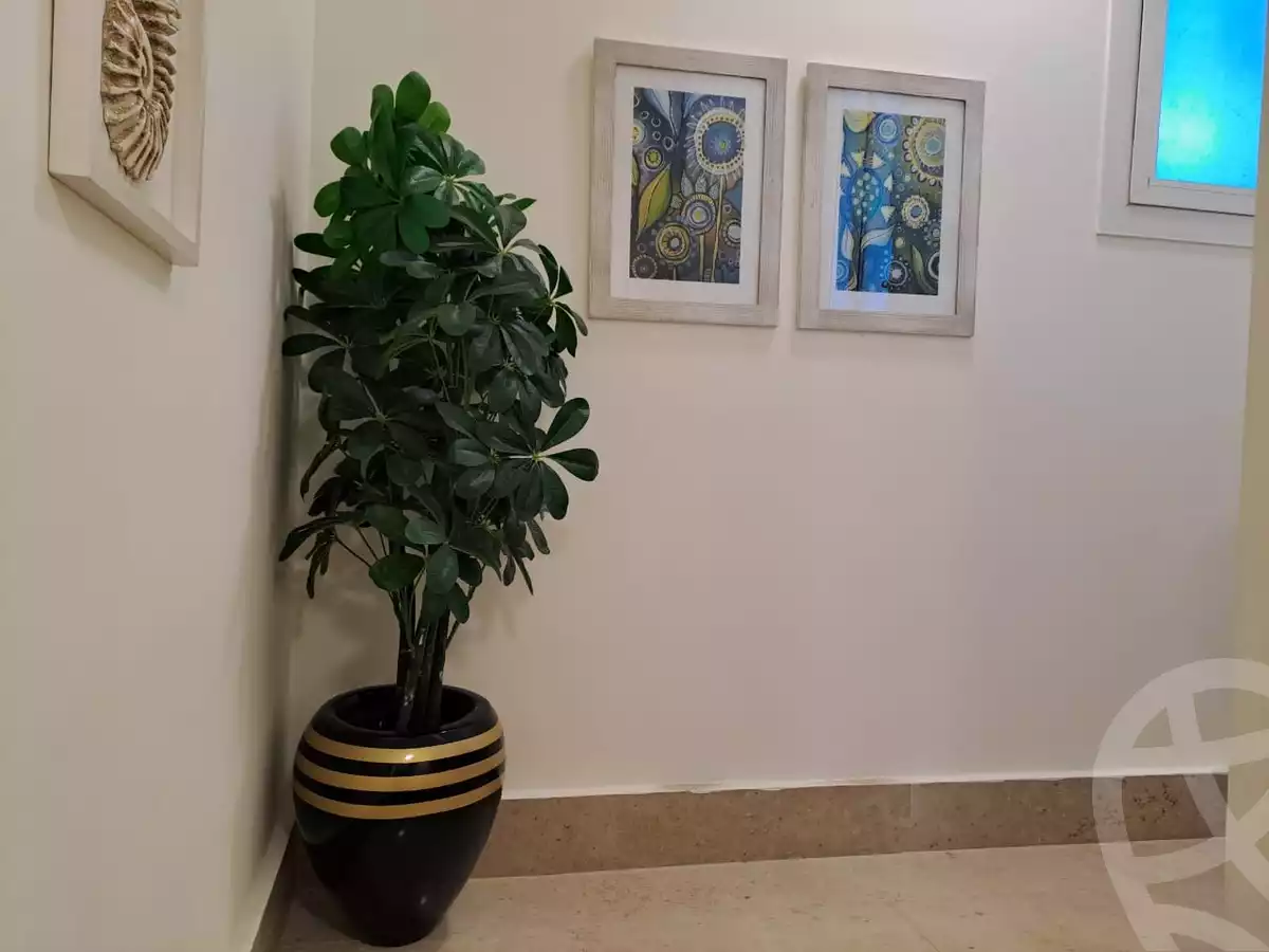 https://aqarmap.com.eg/en/listing/6106387-for-rent-north-coast-resorts-seashells-resort