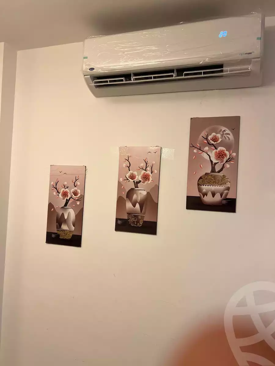 https://aqarmap.com.eg/en/listing/6106392-for-rent-north-coast-resorts-amwaj-amwaj-2