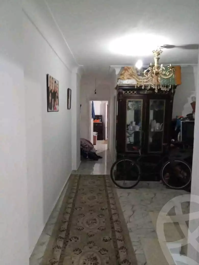 https://aqarmap.com.eg/en/listing/6109375-for-sale-alexandria-l-jmy-lbytsh-mohamed-el-fardi-st