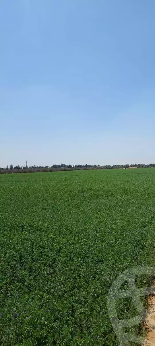 https://aqarmap.com.eg/en/listing/6110206-for-sale-ismailia-el-qantara-gharb