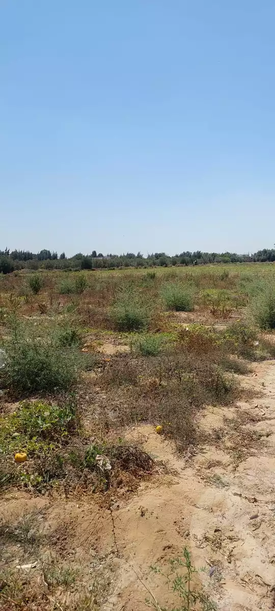 https://aqarmap.com.eg/en/listing/6110206-for-sale-ismailia-el-qantara-gharb
