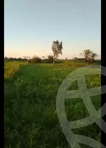https://aqarmap.com.eg/en/listing/6116027-for-sale-damietta-mdyn-dmyt-el-gawahrh