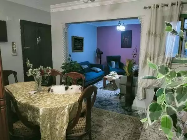 https://aqarmap.com.eg/en/listing/6119564-for-sale-cairo-ain-shams-ain-shams-el-sharkia