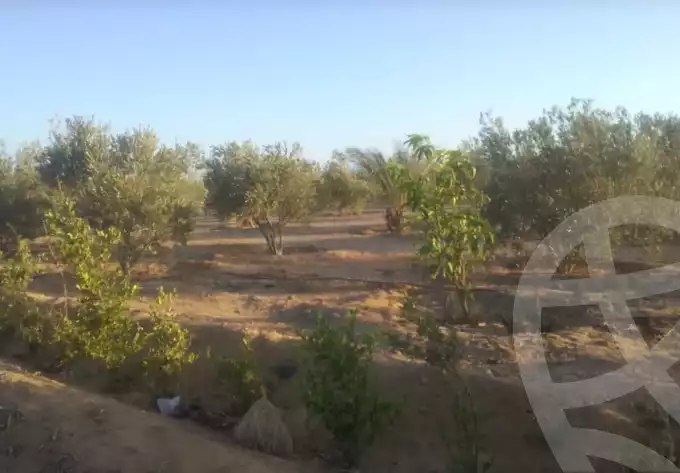 https://aqarmap.com.eg/ar/listing/6119797-for-sale-suez-el-ganain-shandoura-village