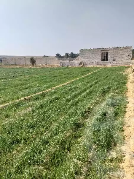 https://aqarmap.com.eg/en/listing/6122652-for-sale-sohag-akhmim