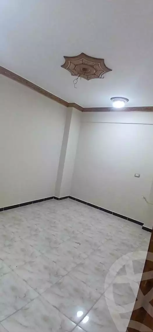 https://aqarmap.com.eg/en/listing/6128087-for-rent-sohag-sohag-city