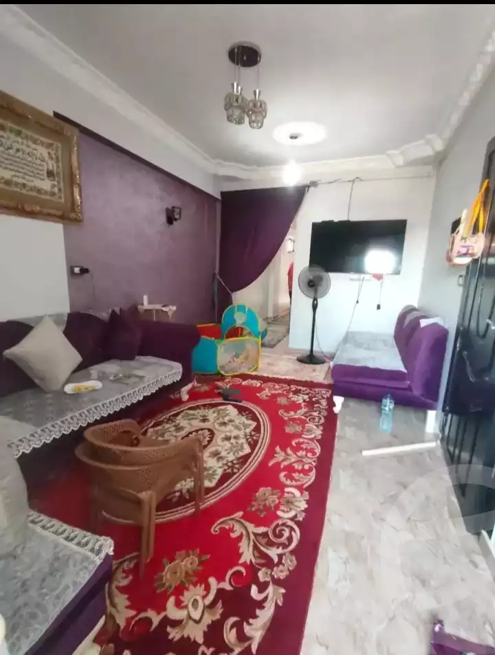 https://aqarmap.com.eg/en/listing/6131761-for-rent-qalyubia-shubra-el-khaima-om-bayoumi