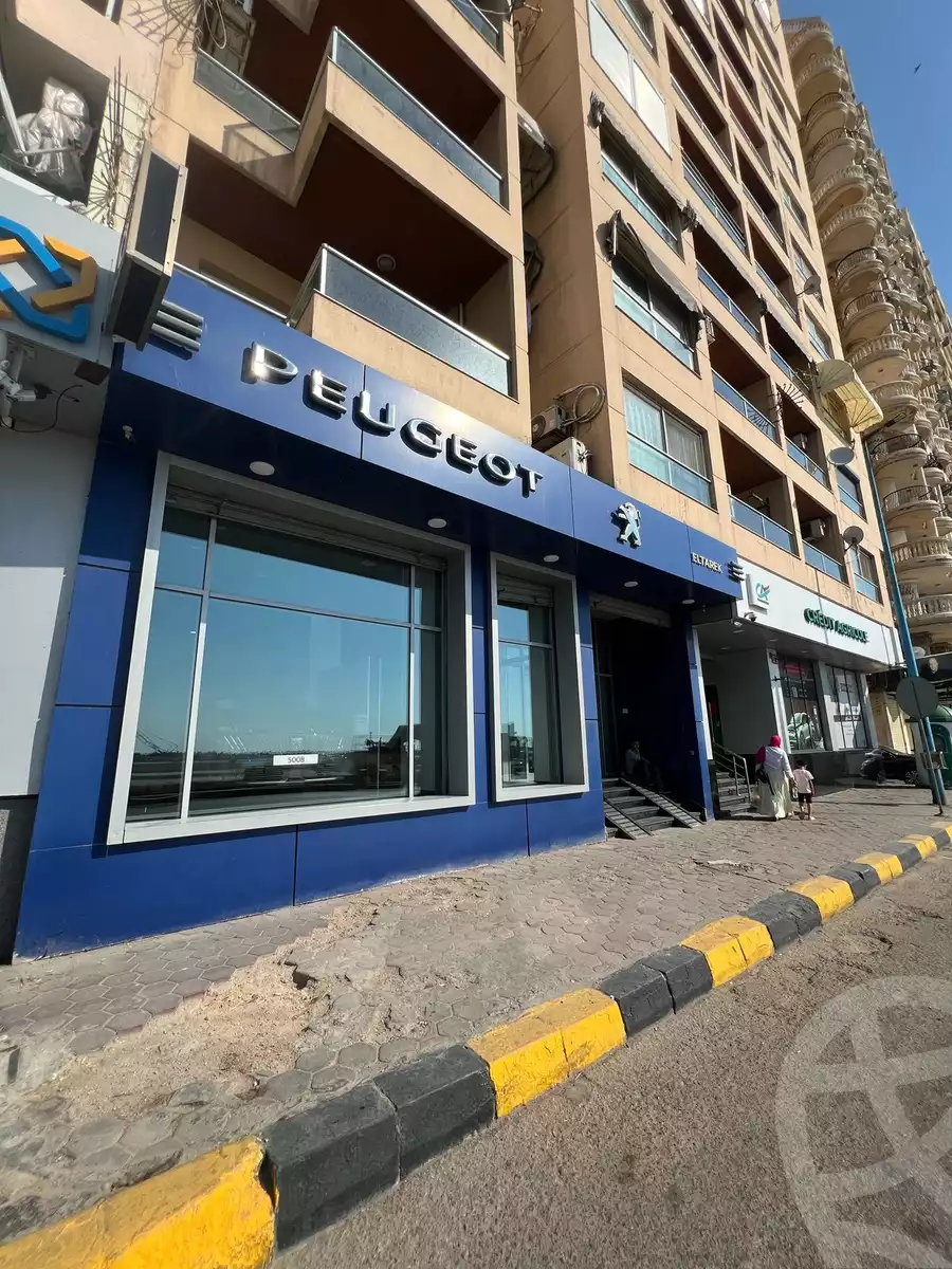 https://aqarmap.com.eg/ar/listing/6132844-for-rent-alexandria-el-saraya