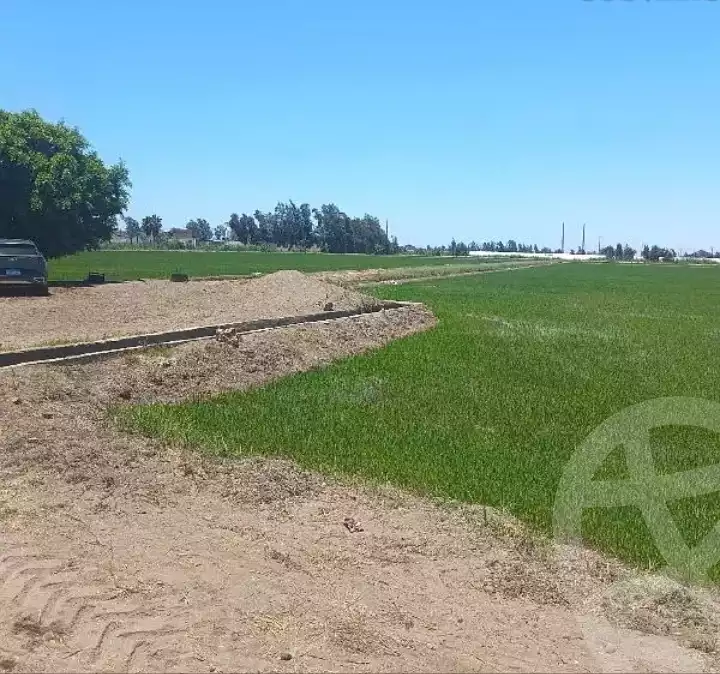 https://aqarmap.com.eg/en/listing/6134105-for-sale-dakahlia-belqas