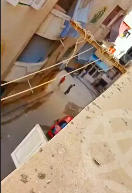 https://aqarmap.com.eg/en/listing/6134242-for-sale-alexandria-l-jmy-lbytsh-el-hay-st