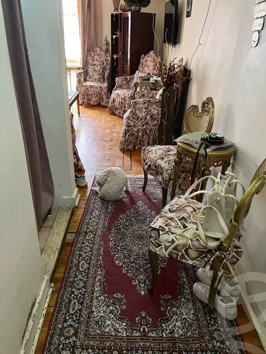 https://aqarmap.com.eg/en/listing/6137363-for-sale-alexandria-miami-shr-jml-bd-lnsr