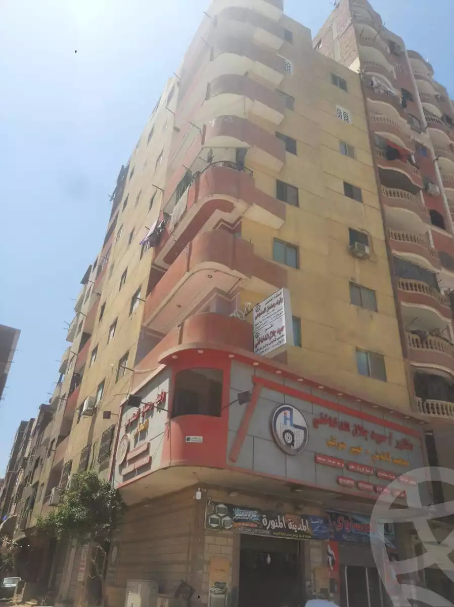 https://aqarmap.com.eg/en/listing/6139748-for-rent-qalyubia-el-khanka