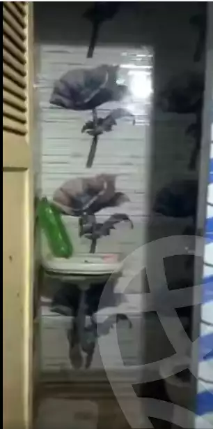 https://aqarmap.com.eg/en/listing/6140585-for-sale-qalyubia-shubra-el-khaima-bahtim