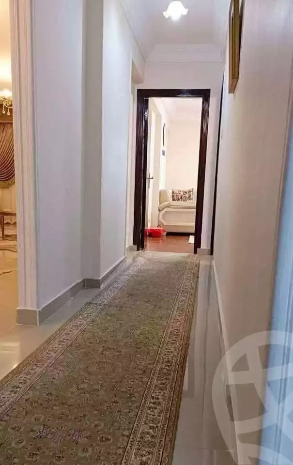 https://aqarmap.com.eg/en/listing/6141227-for-rent-alexandria-ganaklis-el-morsaleen-el-american-st