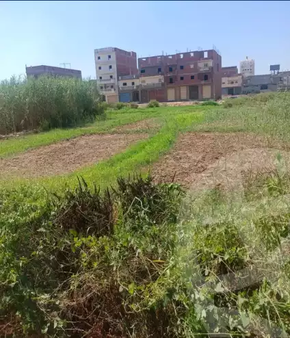 https://aqarmap.com.eg/en/listing/6142054-for-sale-beheira-damanhour-damanhour-city-al-hoofi-st