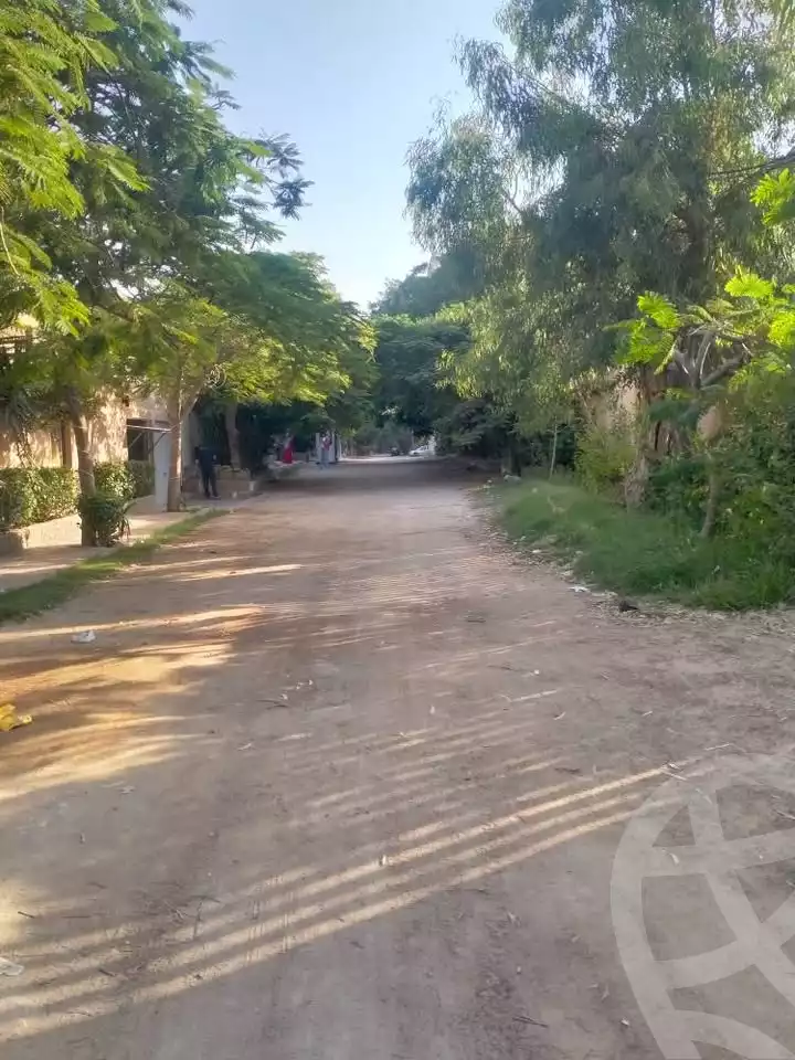 https://aqarmap.com.eg/en/listing/6142329-for-sale-alexandria-l-jmy-lbytsh-street-5-st