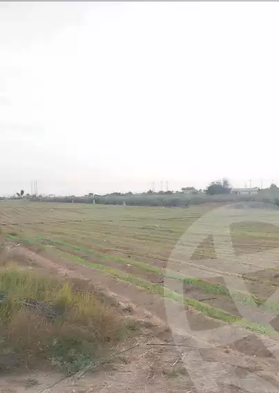 https://aqarmap.com.eg/en/listing/6144441-for-sale-monufia-sadat-city-el-khatatbah