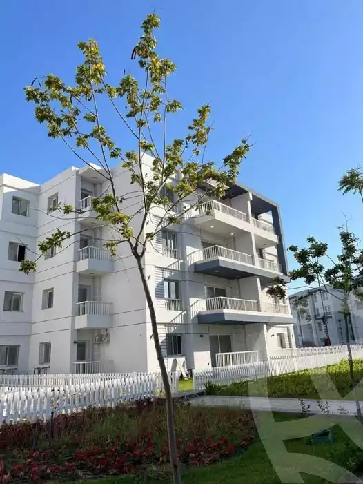 https://aqarmap.com.eg/en/listing/6146157-for-rent-port-said-kmbwnd-fy-bwr-s-yd