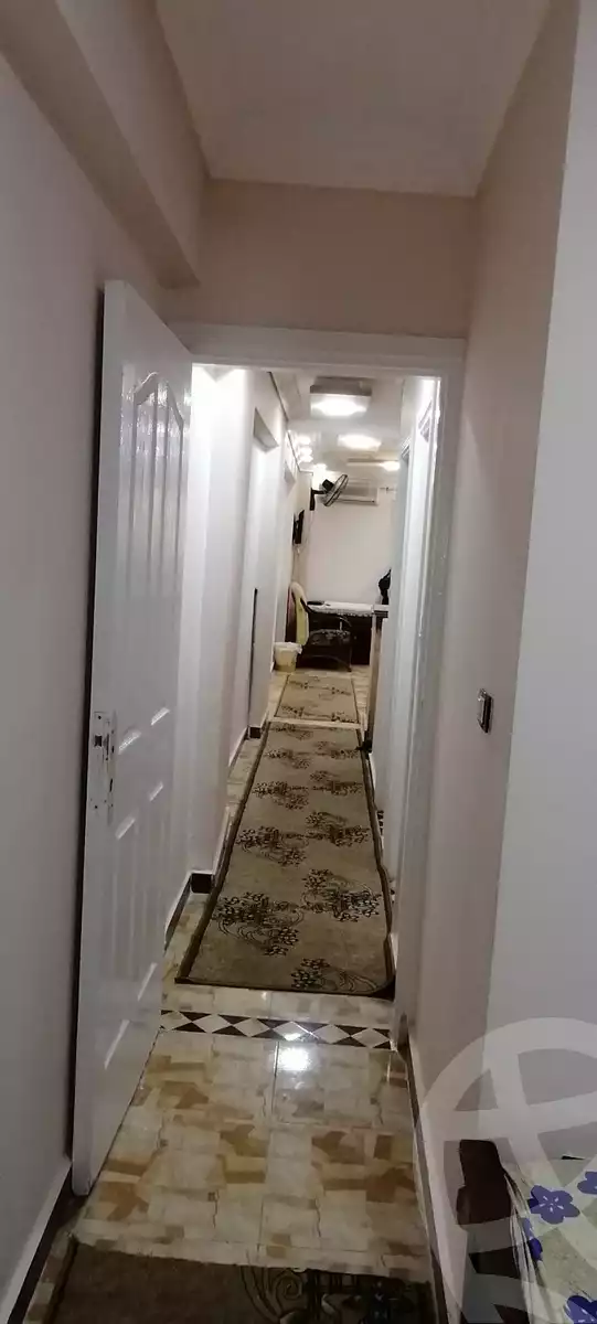 https://aqarmap.com.eg/en/listing/6146972-for-rent-alexandria-miami-khld-bn-lwlyd