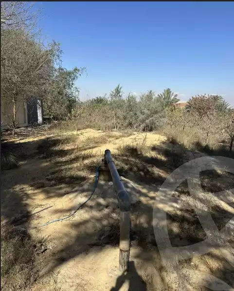 https://aqarmap.com.eg/en/listing/6148999-for-sale-beheira-wadi-el-natrun