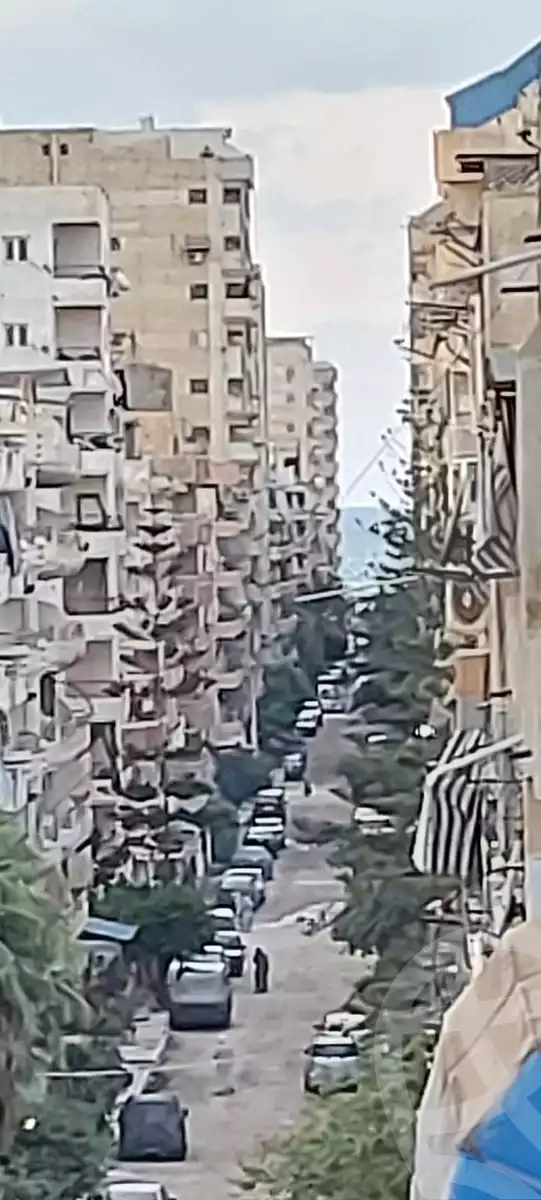 https://aqarmap.com.eg/en/listing/6152551-for-rent-alexandria-l-jmy-el-kilo-21