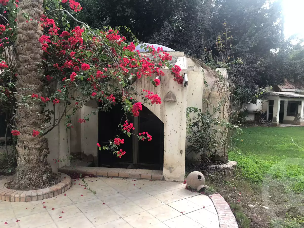 https://aqarmap.com.eg/en/listing/6152819-for-sale-cairo-el-mansuriyyah-ahmed-zaghloul-st