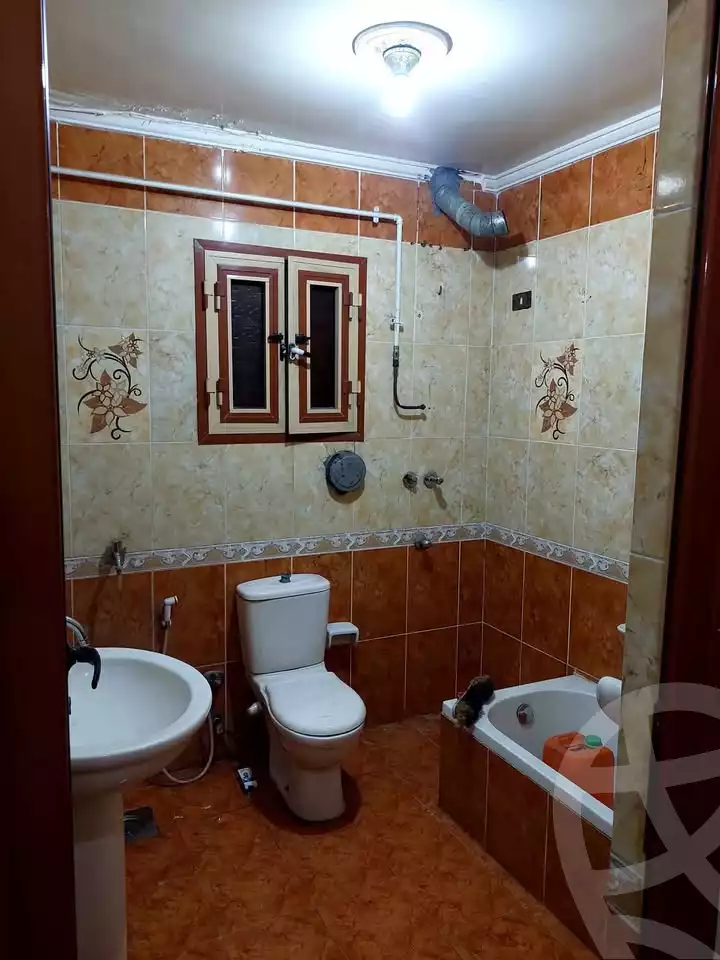https://aqarmap.com.eg/en/listing/6156325-for-rent-alexandria-new-miami