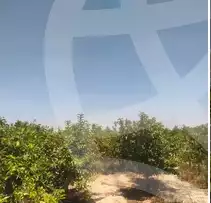 https://aqarmap.com.eg/ar/listing/6156497-for-sale-beheira-wadi-el-natrun