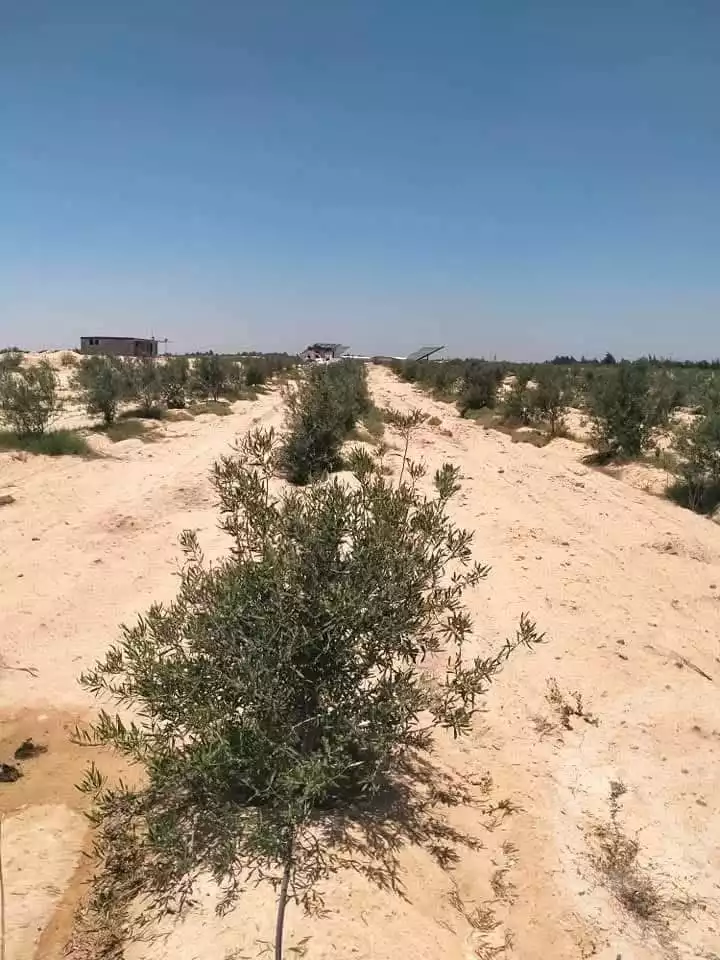 https://aqarmap.com.eg/en/listing/6164827-for-sale-beheira-wadi-el-natrun
